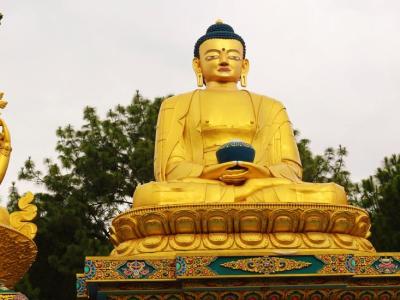 Three Buddhas park, monkey temple 